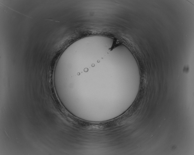 X0000094060691200710190933