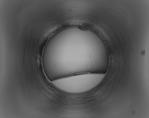 X0000094060692200710190933