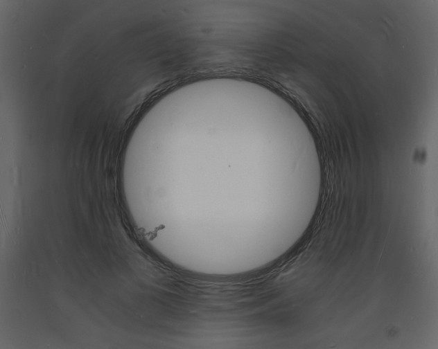 X0000094060693200710190933