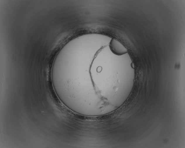 X0000094060694200710190933