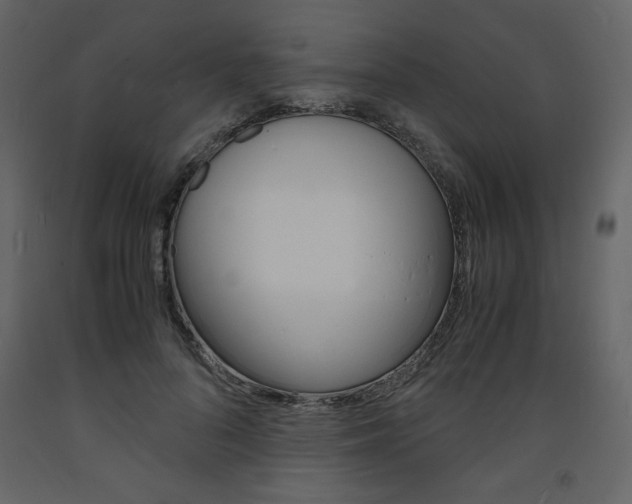 X0000094060696200710190933