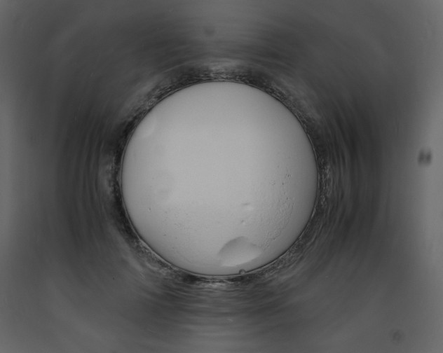 X0000094060698200710190933