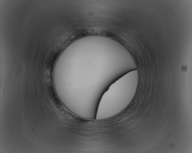 X0000094060699200710190933