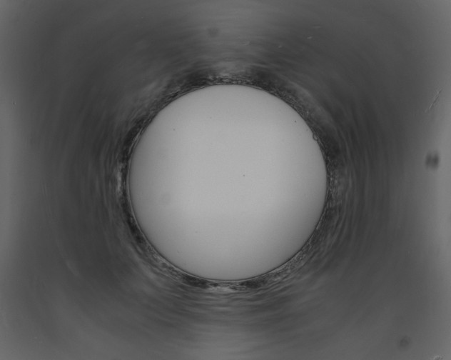 X0000094060703200710190933