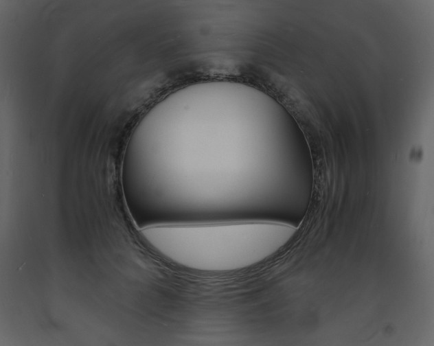 X0000094060704200710190933