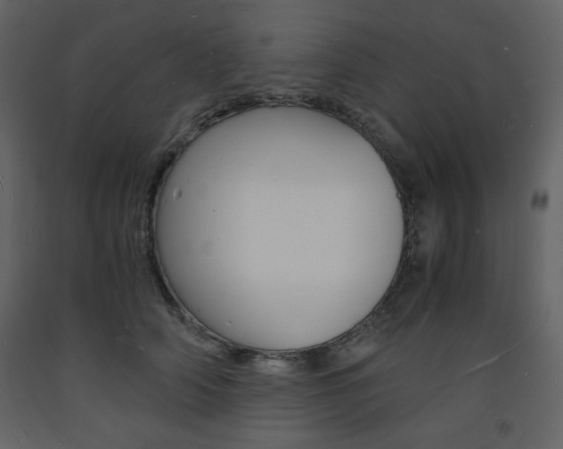 X0000094060706200710190933