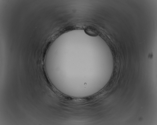 X0000094060707200710190933