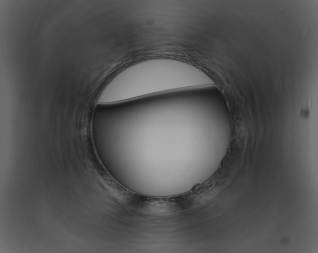 X0000094060708200710190933