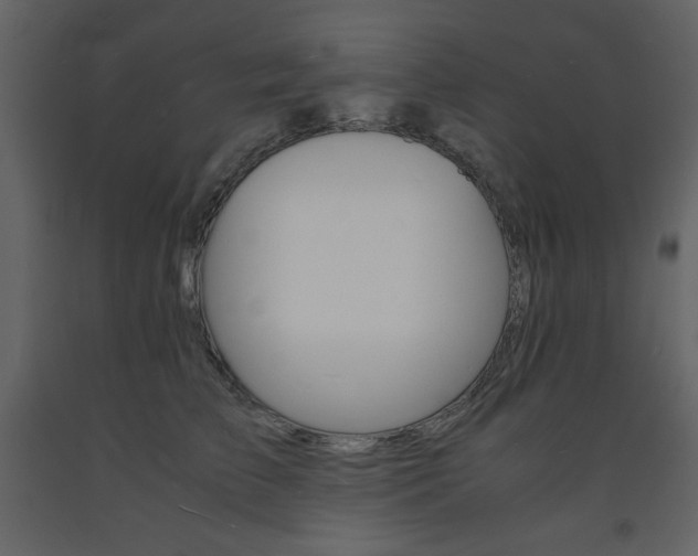 X0000094060709200710190933