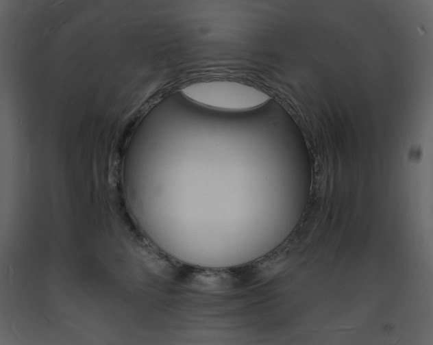 X0000094060712200710190933