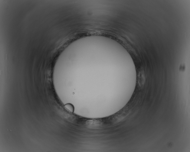 X0000094060714200710190933