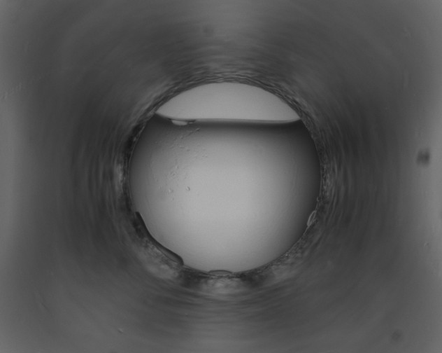 X0000094060716200710190933