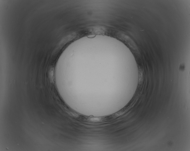 X0000094060717200710190933
