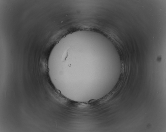 X0000094060718200710190933