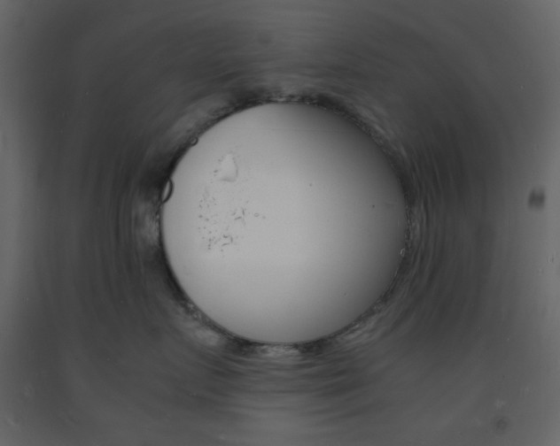 X0000094060719200710190933