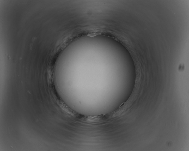 X0000094060720200710190933