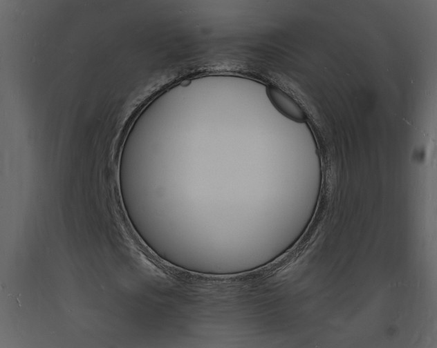 X0000094060721200710190932