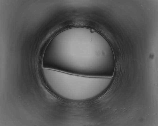 X0000094060722200710190932
