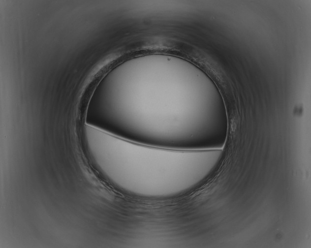 X0000094060724200710190932