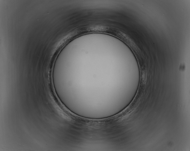 X0000094060725200710190932