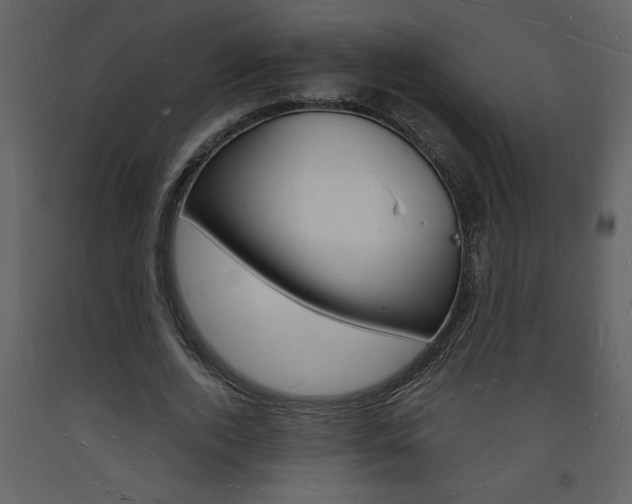 X0000094060728200710190932