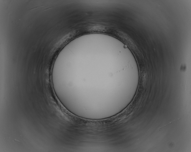 X0000094060729200710190932