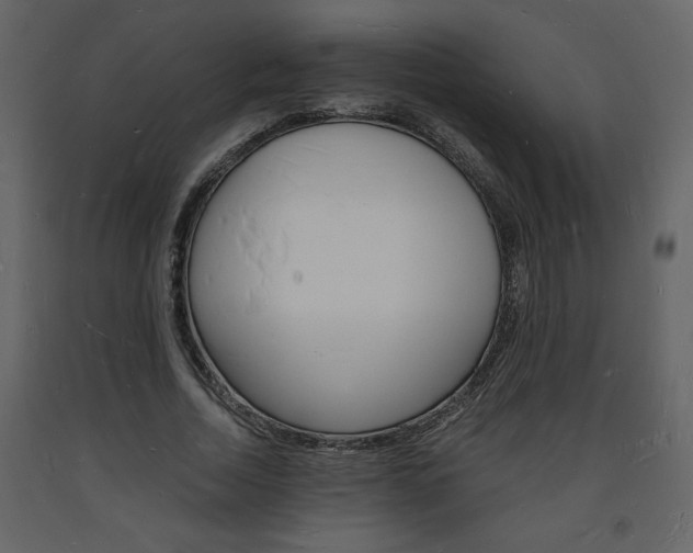 X0000094060730200710190932