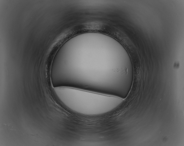 X0000094060731200710190932
