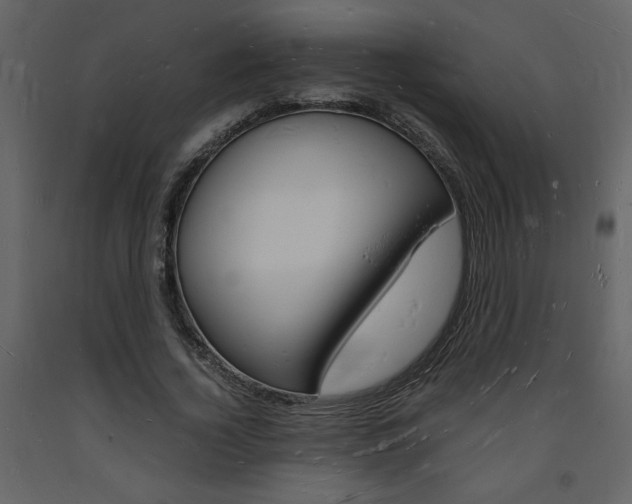X0000094060732200710190932