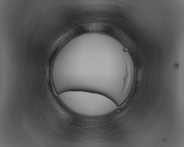 X0000094060733200710190932