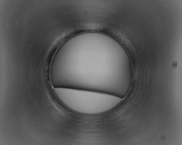 X0000094060736200710190932