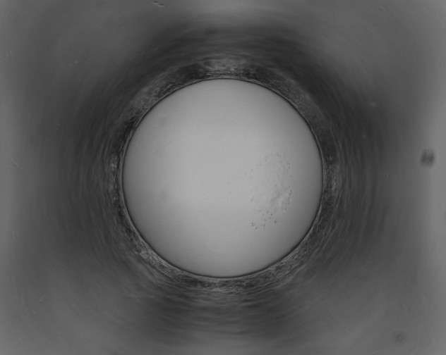 X0000094060737200710190932