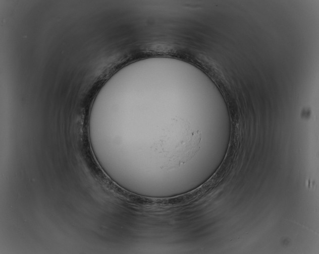 X0000094060739200710190932