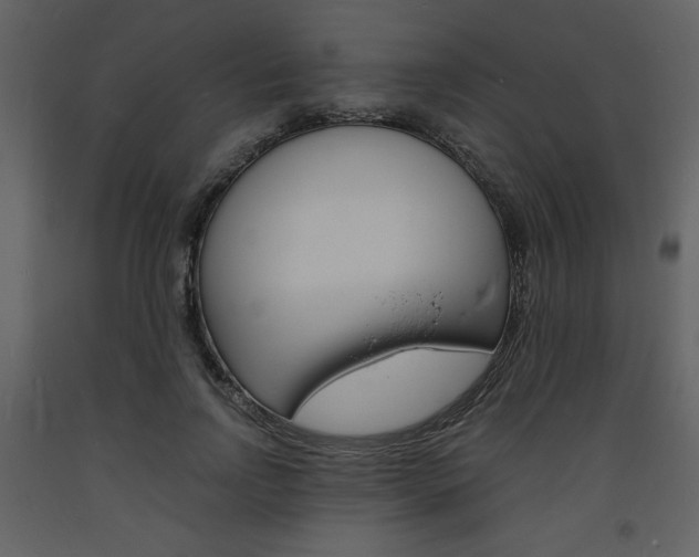 X0000094060742200710190932