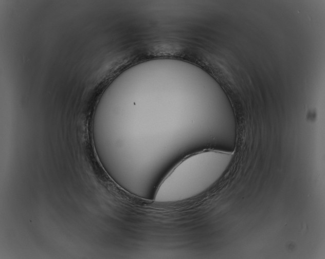 X0000094060743200710190932