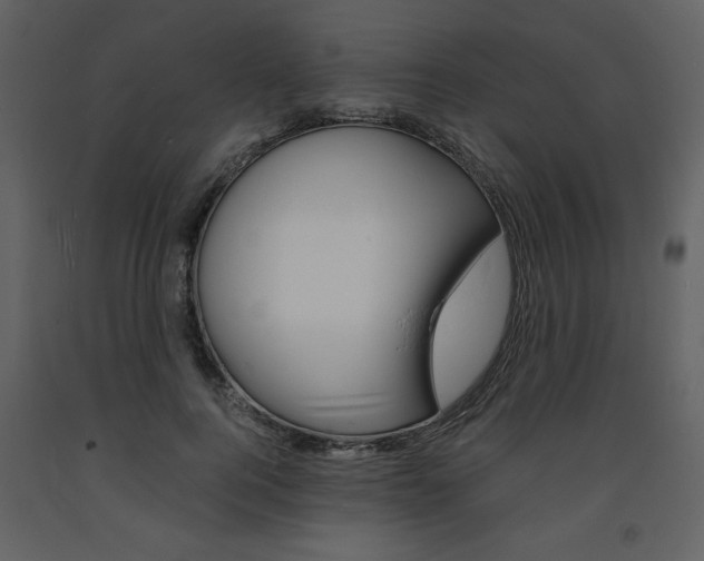 X0000094060744200710190932