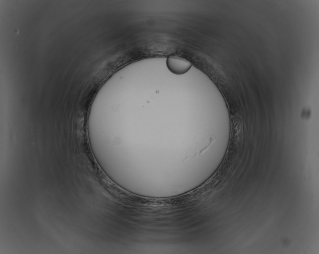 X0000094060745200710190932