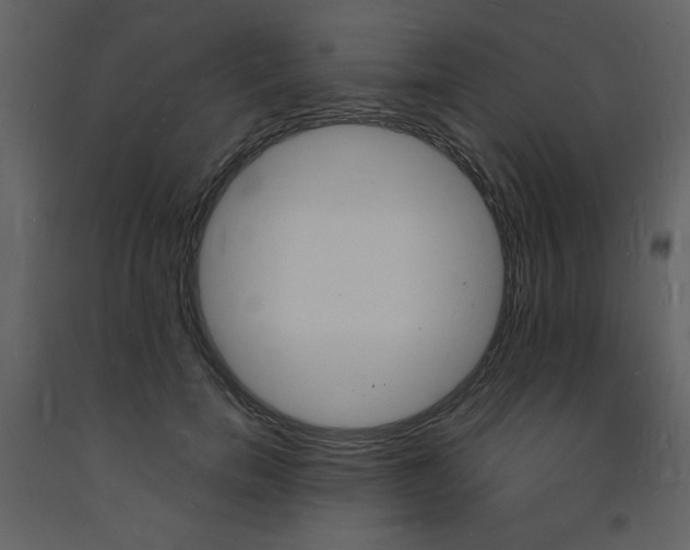 X0000094060750200710190932