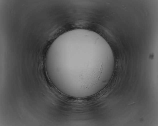 X0000094060751200710190932