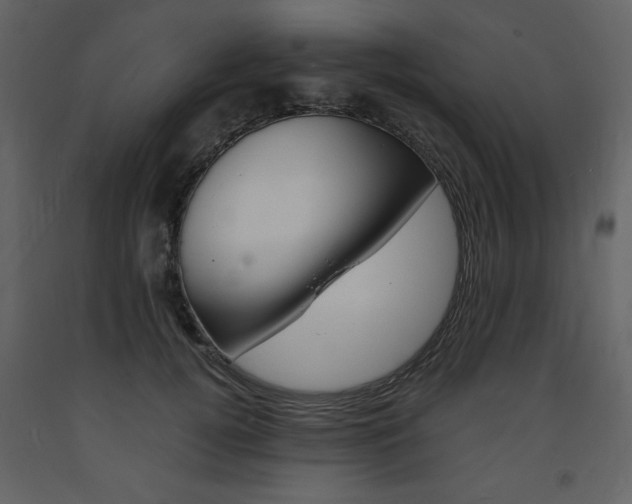 X0000094060752200710190932