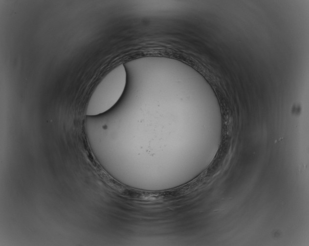 X0000094060753200710190932