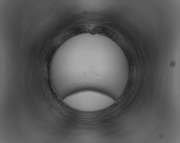 X0000094060754200710190933