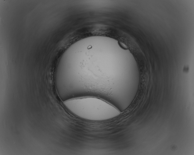 X0000094060755200710190933