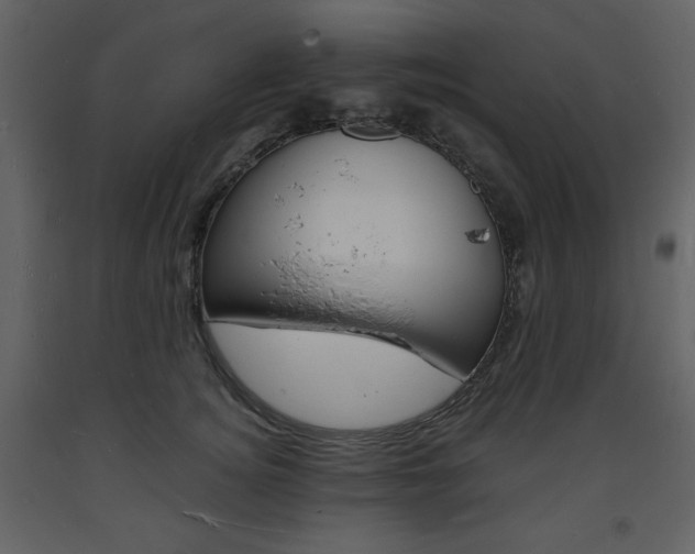 X0000094060756200710190933