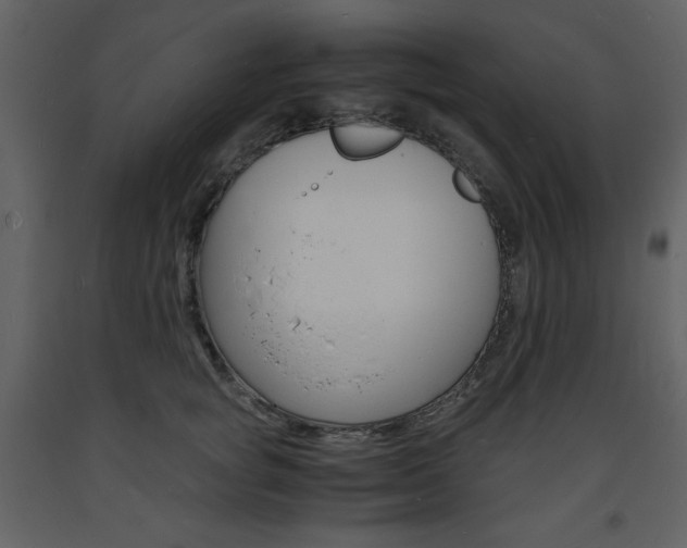 X0000094060757200710190933
