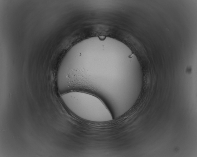 X0000094060759200710190933