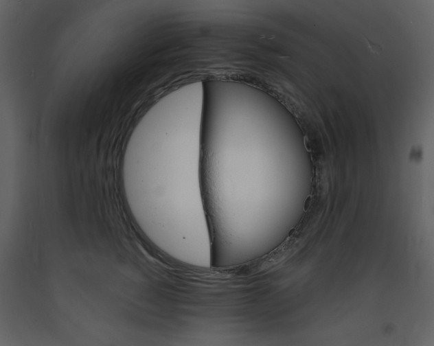 X0000094060760200710190933