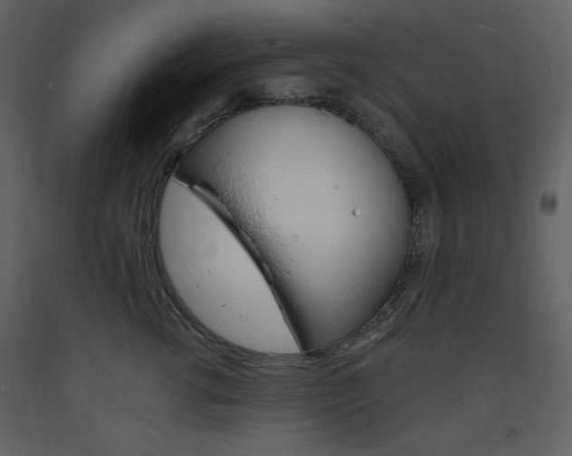X0000094060762200710190933
