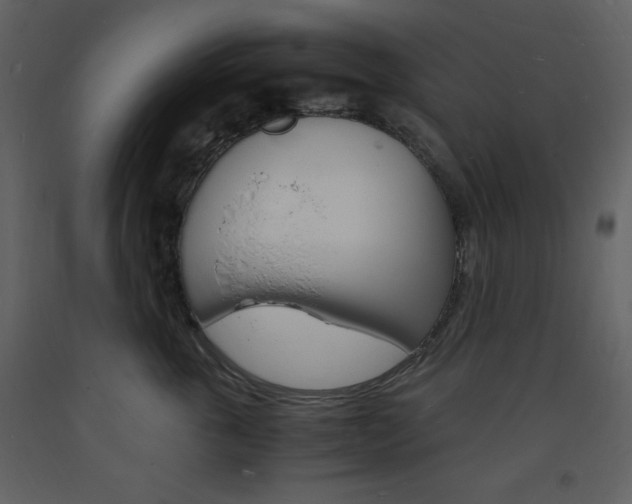 X0000094060763200710190933