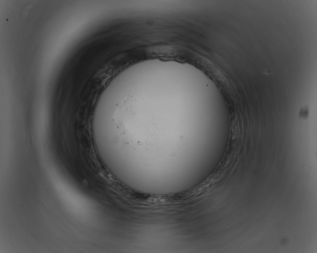X0000094060764200710190933